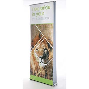 ROLL-UP leggero robusto economico mono e bifacciale