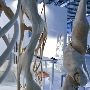 Esempio di Opere presenti in fiera